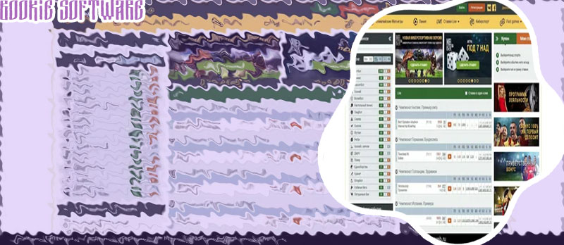 Bookmaker software