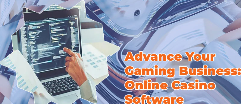 Casino online software application development company