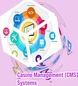 Casino software product development service