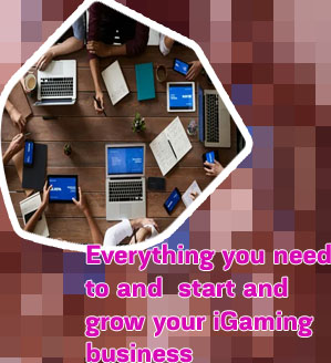 Igaming business software and website development company