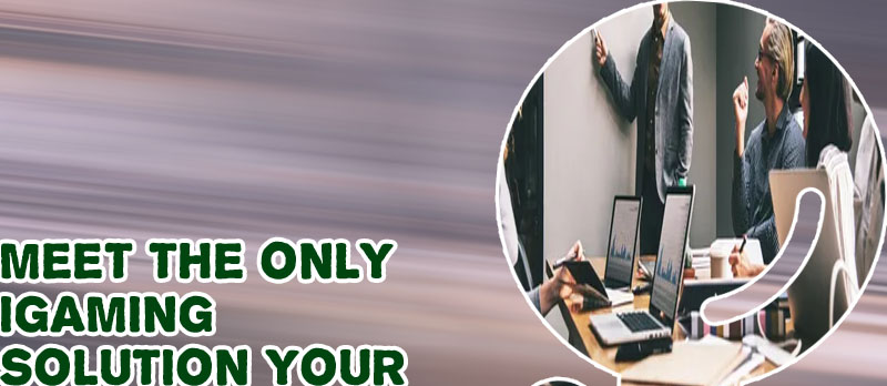 Igaming business web development firm